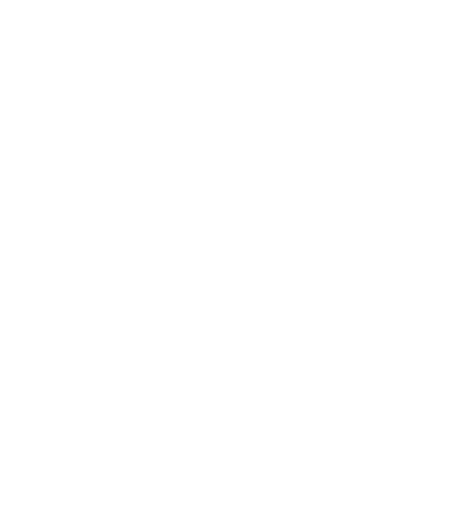 icono